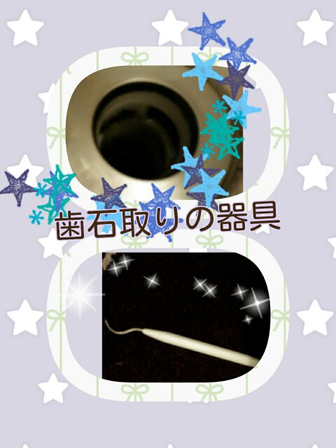 f:id:katsuraakiko:20150523063847j:image f:id:katsuraakiko:20150523063847j:image