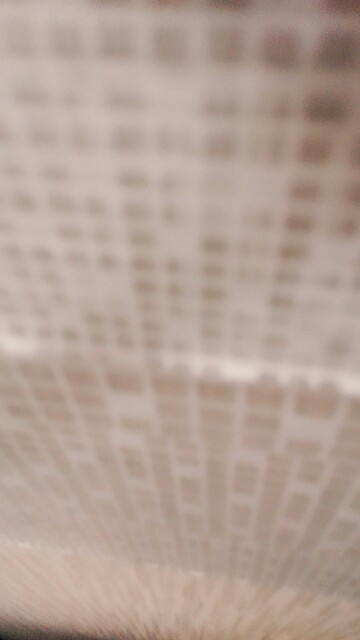 f:id:katsuraakiko:20151012114438j:image f:id:katsuraakiko:20151012114438j:image
