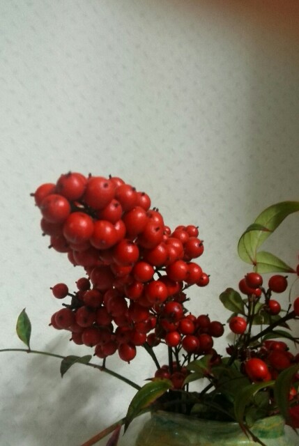 f:id:katsuraakiko:20151231193229j:image f:id:katsuraakiko:20151231193229j:image