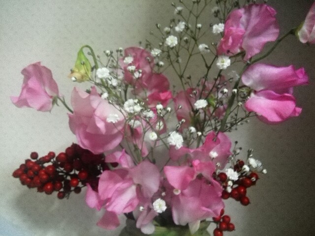 f:id:katsuraakiko:20160105104616j:image f:id:katsuraakiko:20160105104616j:image