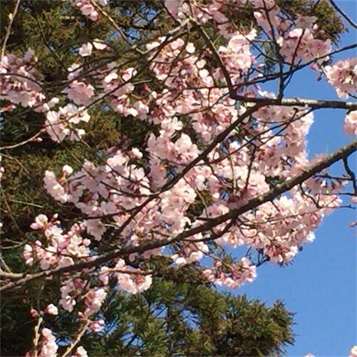 f:id:katsuyuki146:20160329222705j:image f:id:katsuyuki146:20160329222705j:image