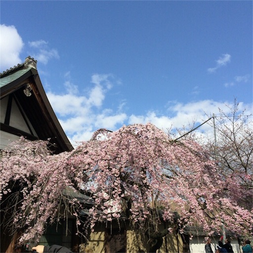 f:id:katsuyuki146:20160329222752j:image f:id:katsuyuki146:20160329222752j:image