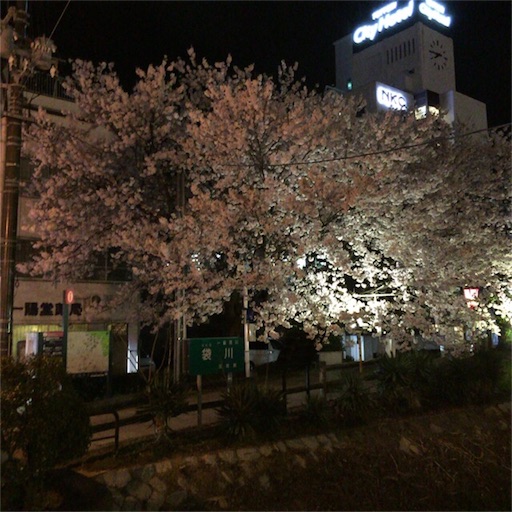 f:id:katsuyuki146:20160407215321j:image f:id:katsuyuki146:20160407215321j:image