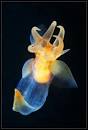 f:id:kattaka530:20130509235409j:plain f:id:kattaka530:20130509235409j:plain