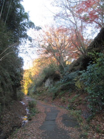 f:id:kawaiimuku:20141213154737j:plain f:id:kawaiimuku:20141213154737j:plain