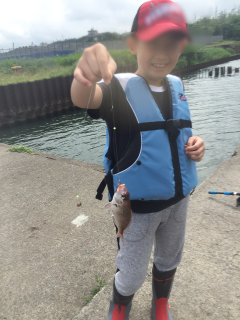 f:id:kawapom:20150621210854p:image f:id:kawapom:20150621210854p:image