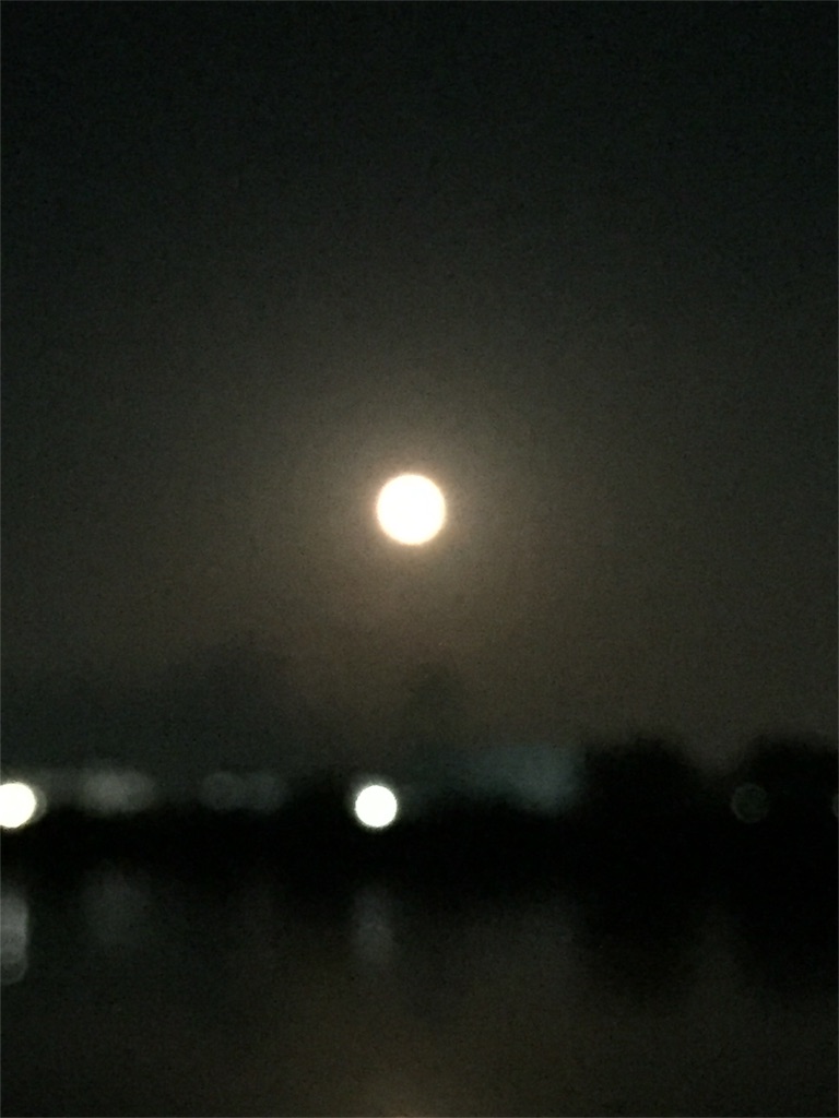 f:id:kawapom:20150928202145j:image f:id:kawapom:20150928202145j:image