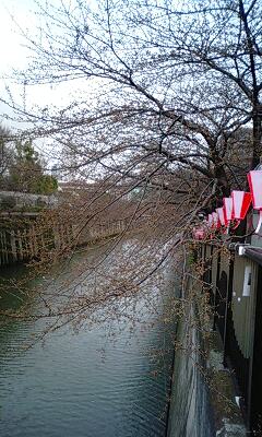 f:id:kawasaki:20090327225138j:image f:id:kawasaki:20090327225138j:image