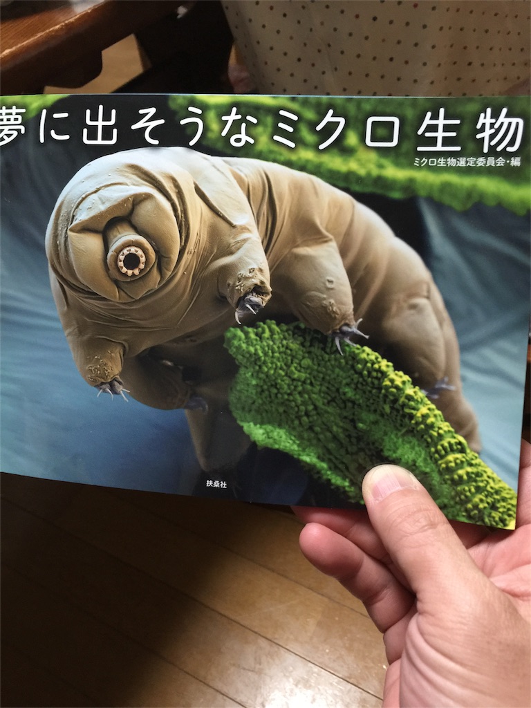 f:id:kawashima-naoya-1203346:20151109215559j:image f:id:kawashima-naoya-1203346:20151109215559j:image