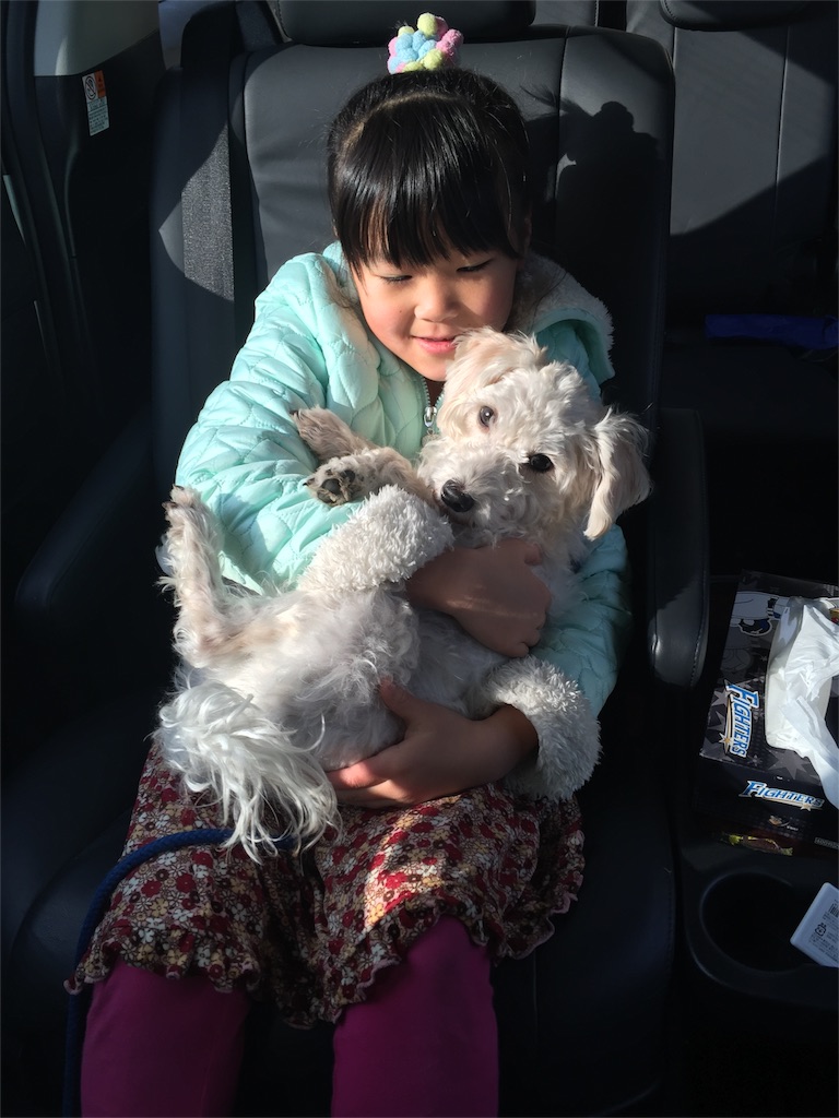 f:id:kawashima-naoya-1203346:20151127221257j:image f:id:kawashima-naoya-1203346:20151127221257j:image