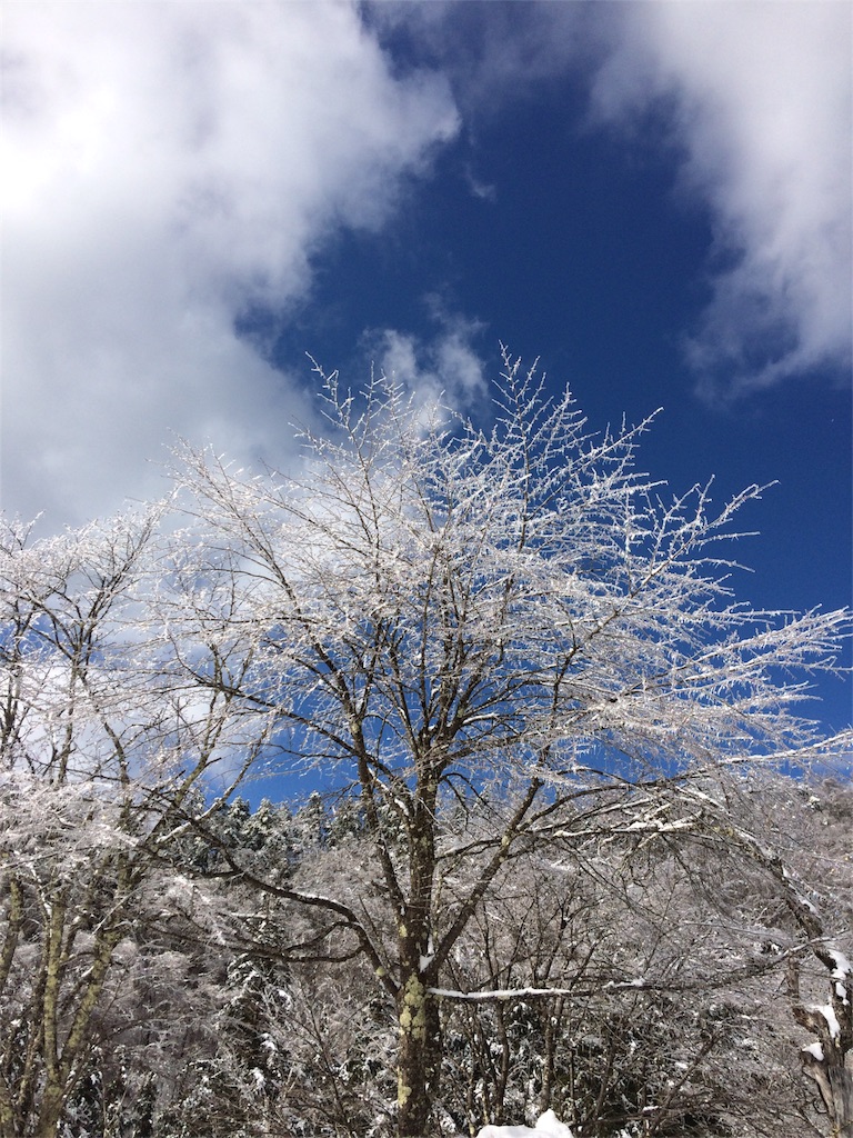 f:id:kawauso0905:20160203222234j:image f:id:kawauso0905:20160203222234j:image
