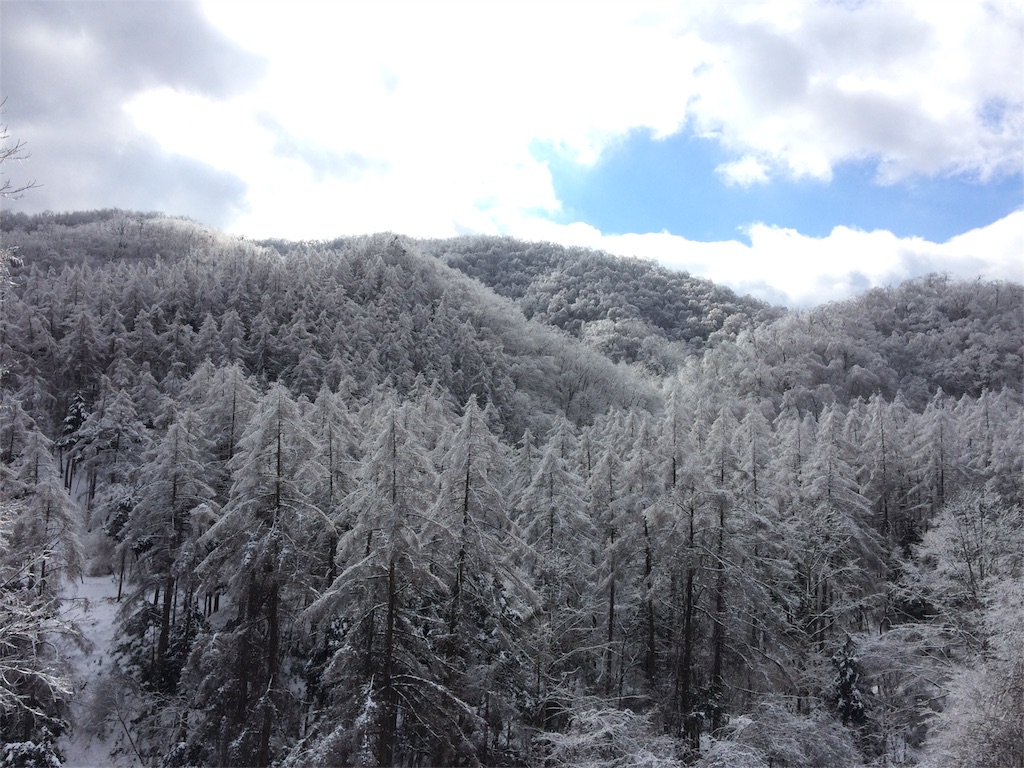 f:id:kawauso0905:20160203222512j:image f:id:kawauso0905:20160203222512j:image