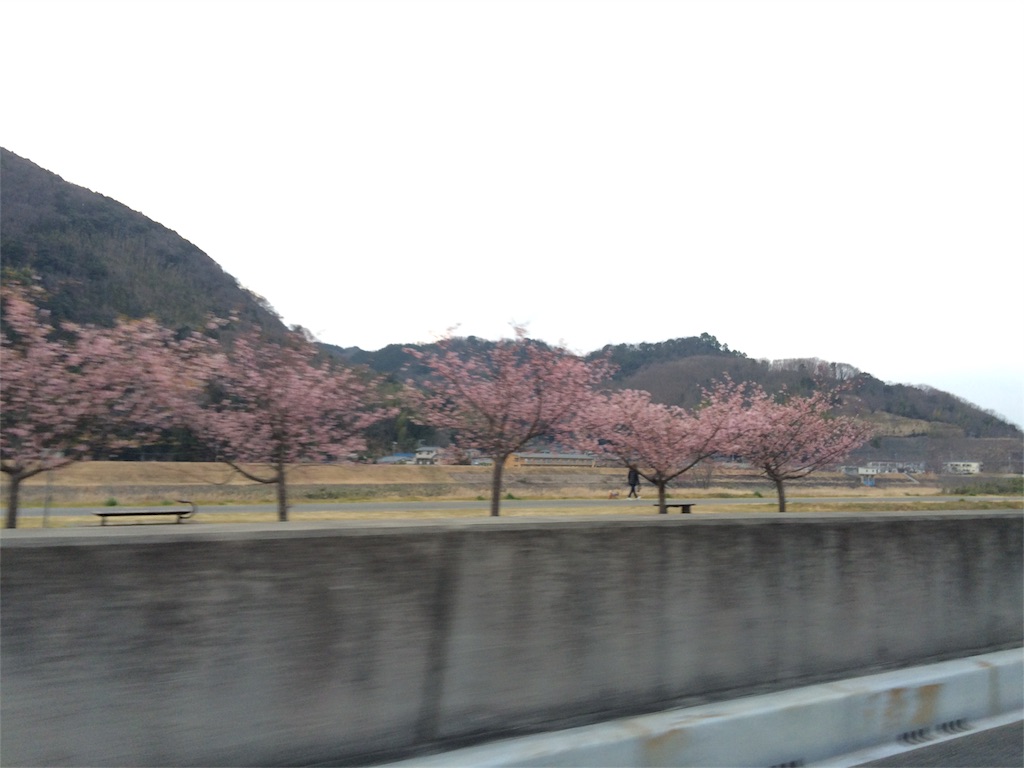 f:id:kawauso0905:20160302123423j:image f:id:kawauso0905:20160302123423j:image