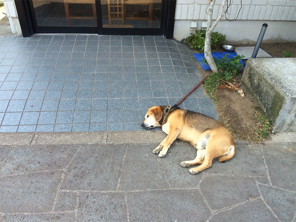 f:id:kawauso0905:20160528222711j:image f:id:kawauso0905:20160528222711j:image