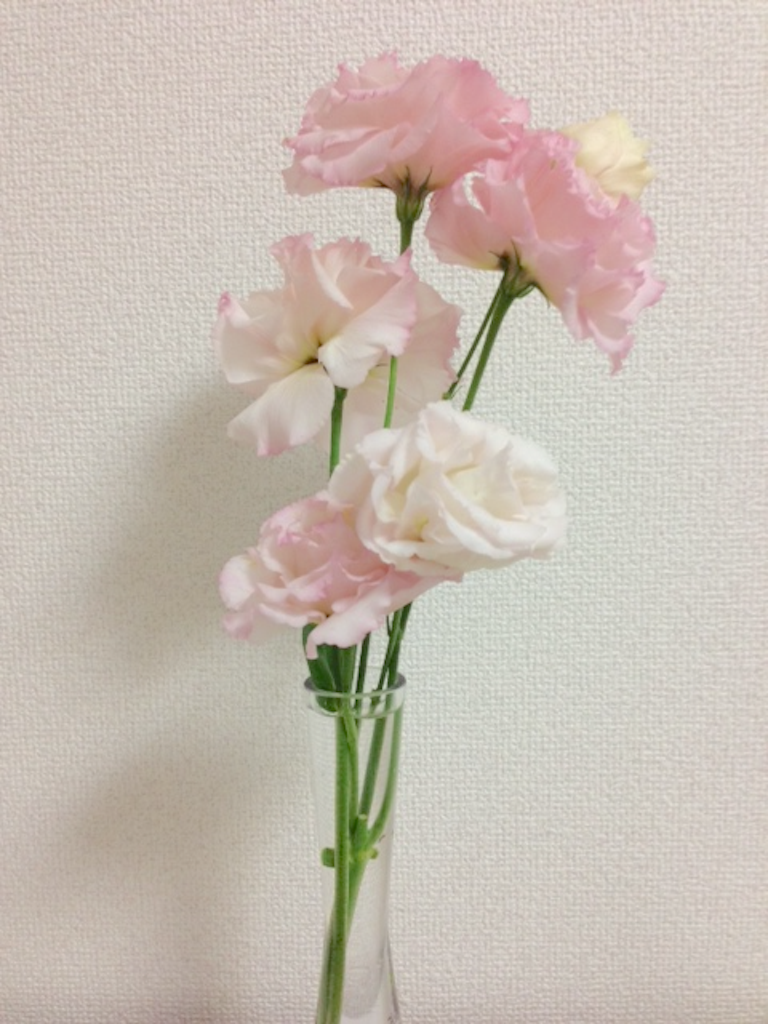 f:id:kaya_2120313:20160314190331p:image f:id:kaya_2120313:20160314190331p:image