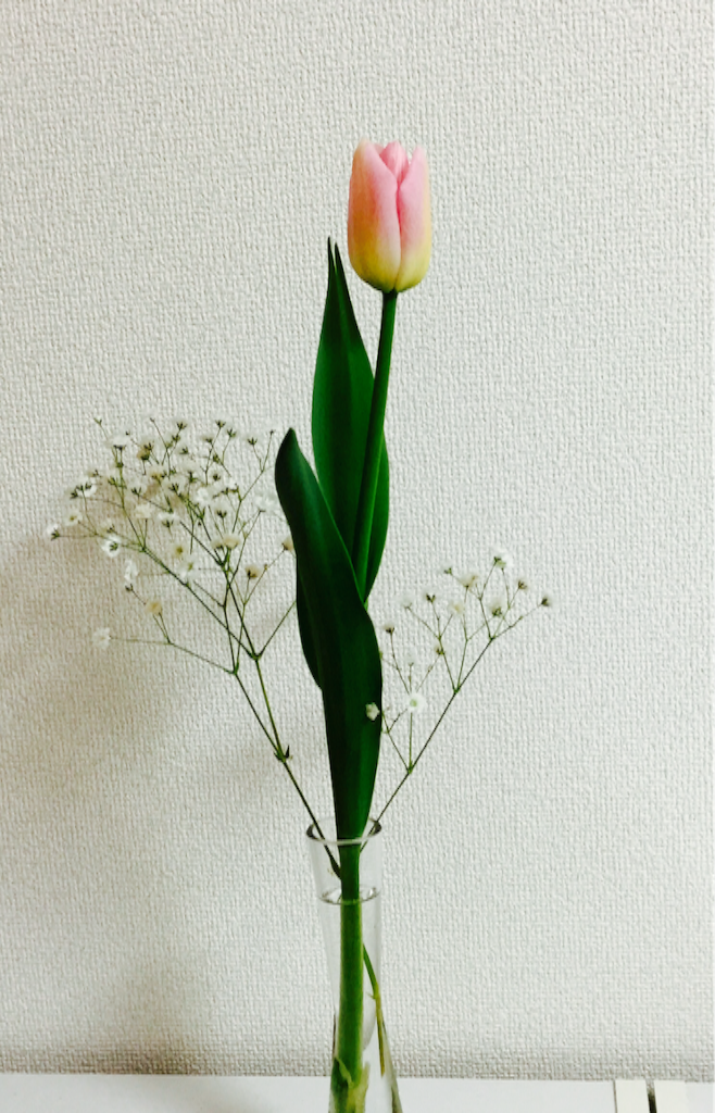 f:id:kaya_2120313:20160314190449p:image f:id:kaya_2120313:20160314190449p:image
