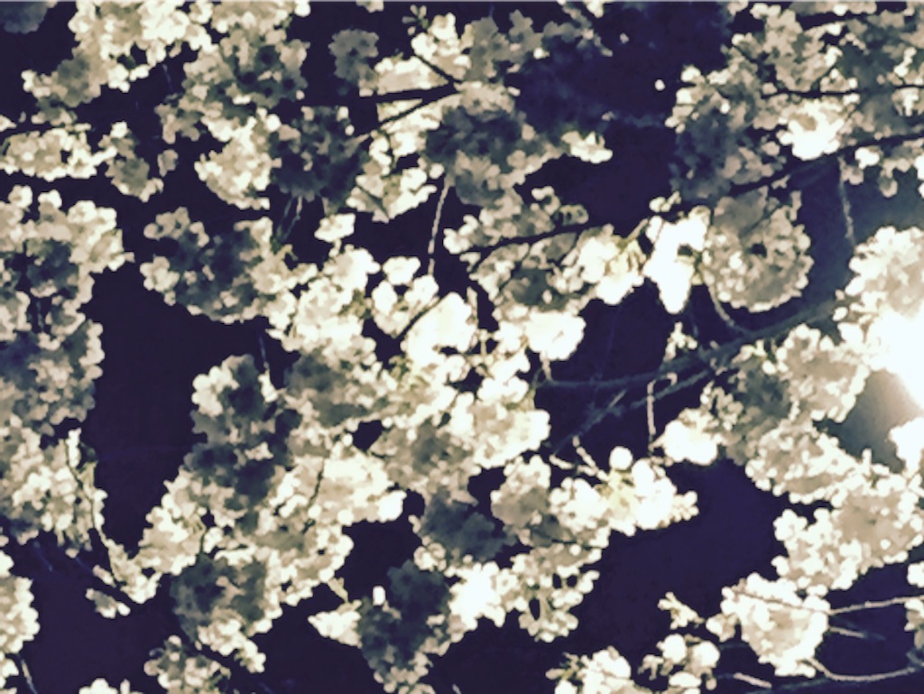 f:id:kaya_2120313:20160403201533j:image f:id:kaya_2120313:20160403201533j:image