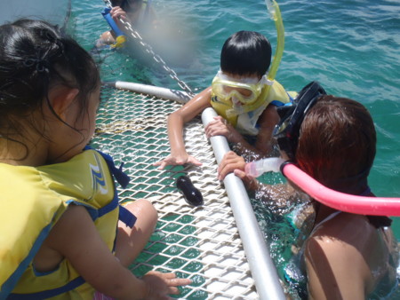 f:id:kayamania:20100806143313j:image:left f:id:kayamania:20100806143313j:image:left