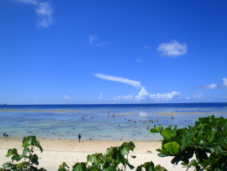 f:id:kayamania:20100827142047j:image f:id:kayamania:20100827142047j:image