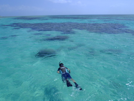 f:id:kayamania:20110719150632j:image f:id:kayamania:20110719150632j:image