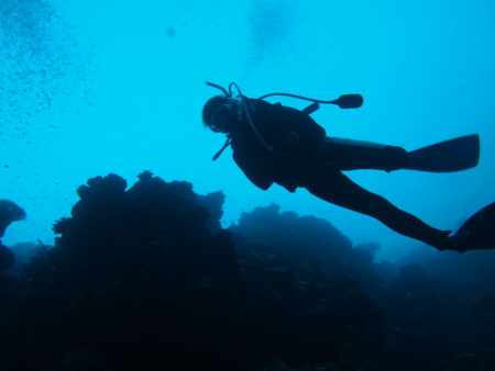 f:id:kayamania:20110821175507j:image f:id:kayamania:20110821175507j:image