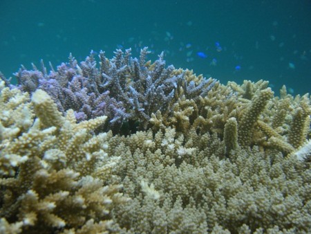 f:id:kayamania:20120518124826j:image f:id:kayamania:20120518124826j:image