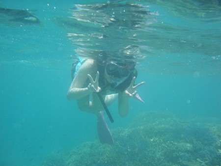 f:id:kayamania:20120518223001j:image f:id:kayamania:20120518223001j:image