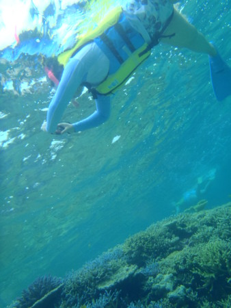 f:id:kayamania:20120719115904j:image f:id:kayamania:20120719115904j:image