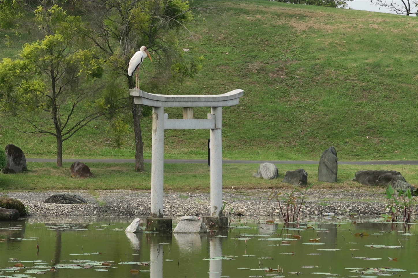 f:id:kaz-sasaki:20151021161533j:image f:id:kaz-sasaki:20151021161533j:image