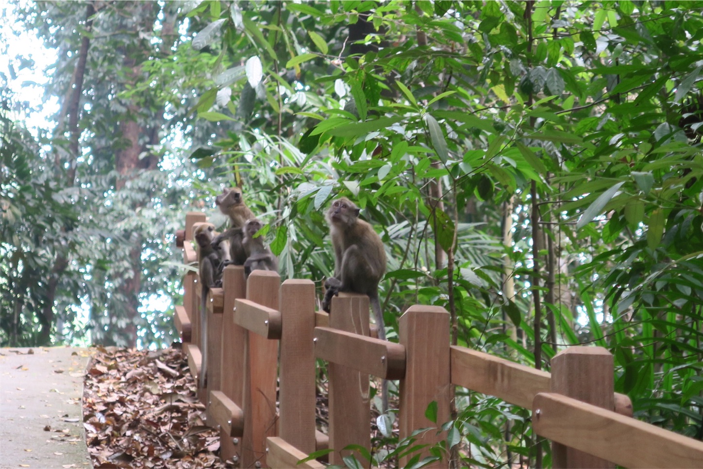 f:id:kaz-sasaki:20151029113314j:image f:id:kaz-sasaki:20151029113314j:image
