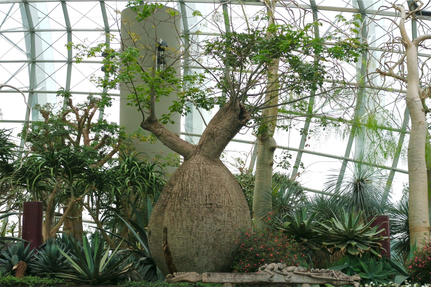 f:id:kaz-sasaki:20151109131944j:image f:id:kaz-sasaki:20151109131944j:image