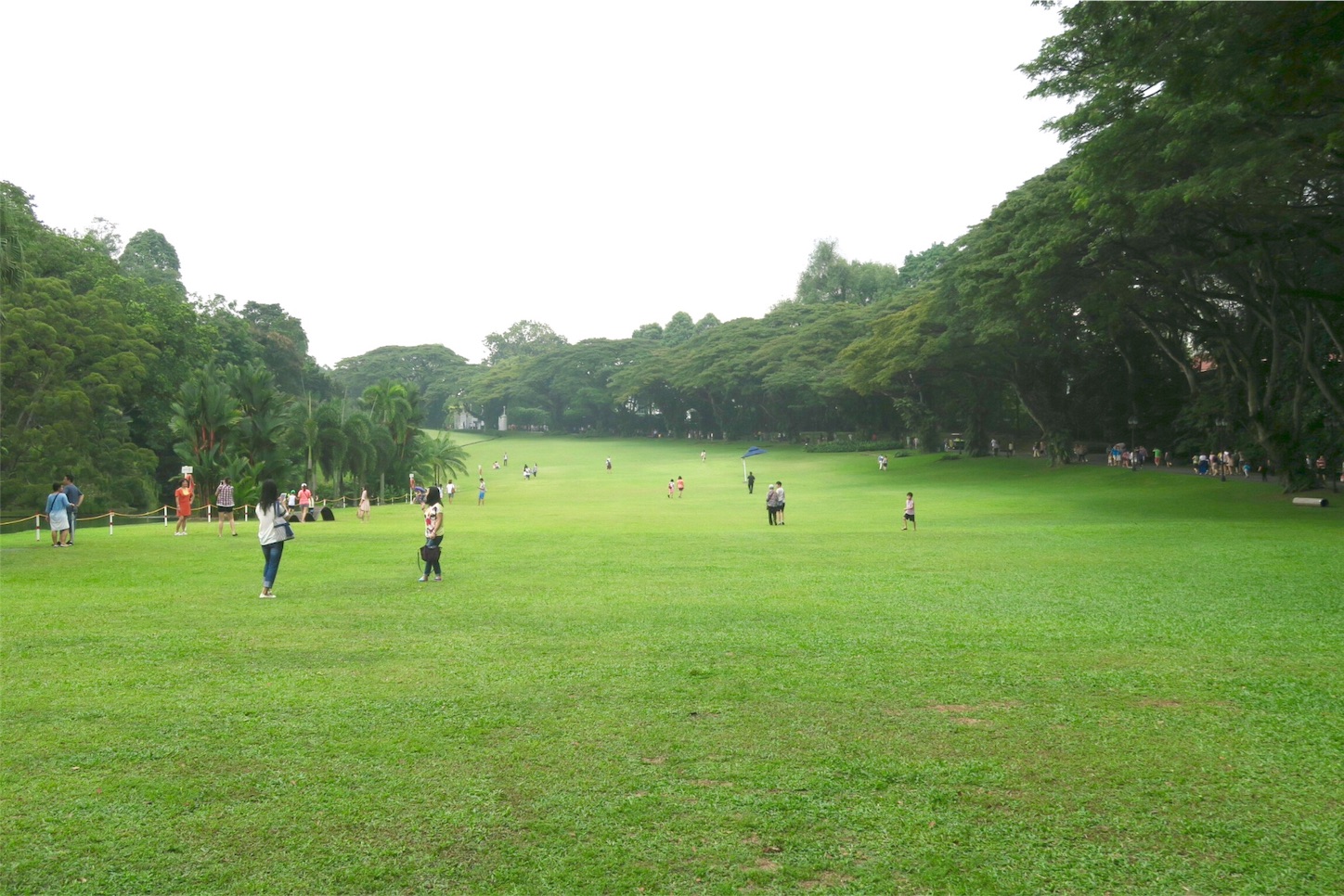 f:id:kaz-sasaki:20151111165914j:image f:id:kaz-sasaki:20151111165914j:image