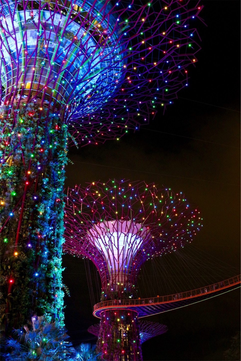 f:id:kaz-sasaki:20151216115234j:image f:id:kaz-sasaki:20151216115234j:image