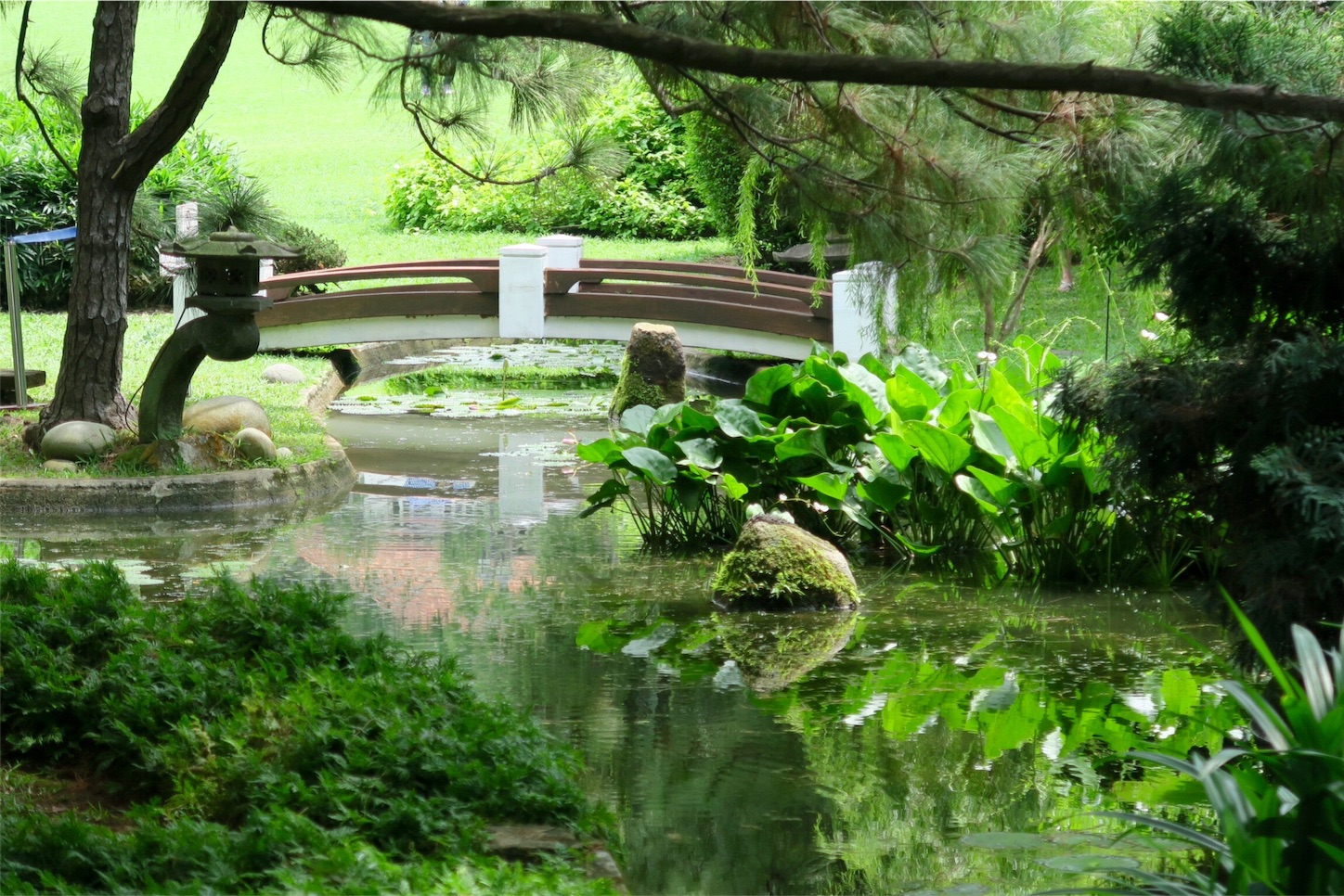 f:id:kaz-sasaki:20160501184829j:image f:id:kaz-sasaki:20160501184829j:image