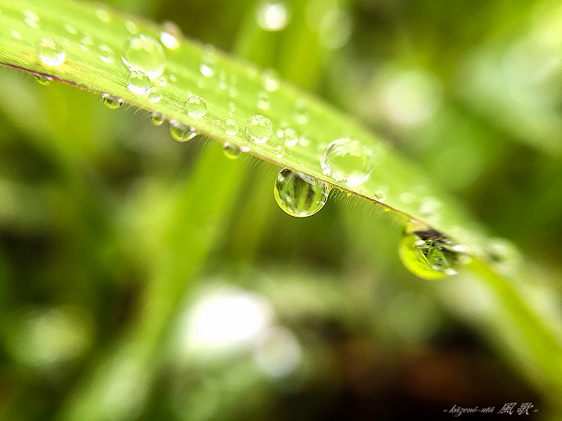 f:id:kazeno-uta:20150916173001j:plain