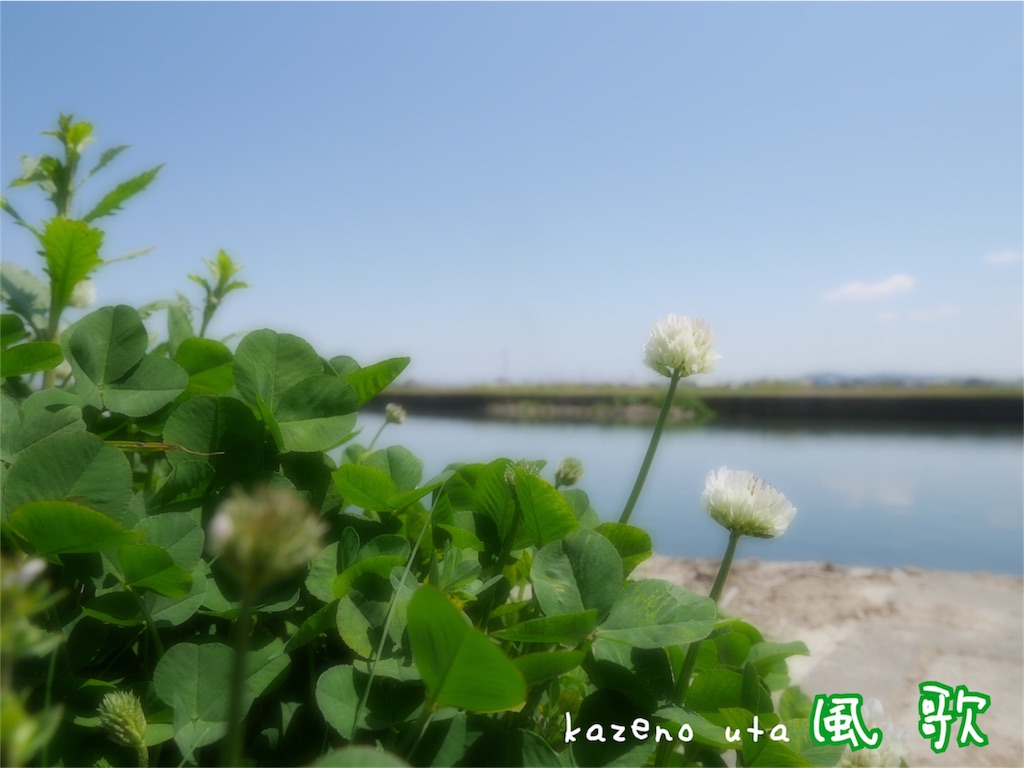 f:id:kazeno-uta:20160509155208j:image