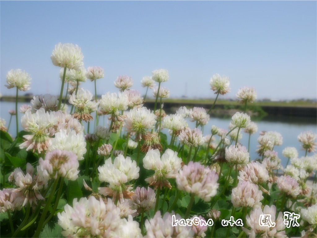 f:id:kazeno-uta:20160509155735j:image