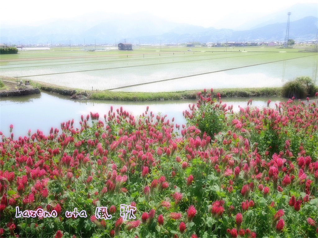 f:id:kazeno-uta:20160512202819j:image