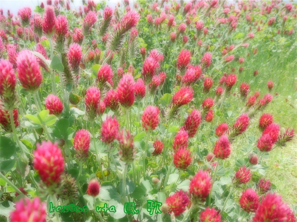 f:id:kazeno-uta:20160512202840j:image