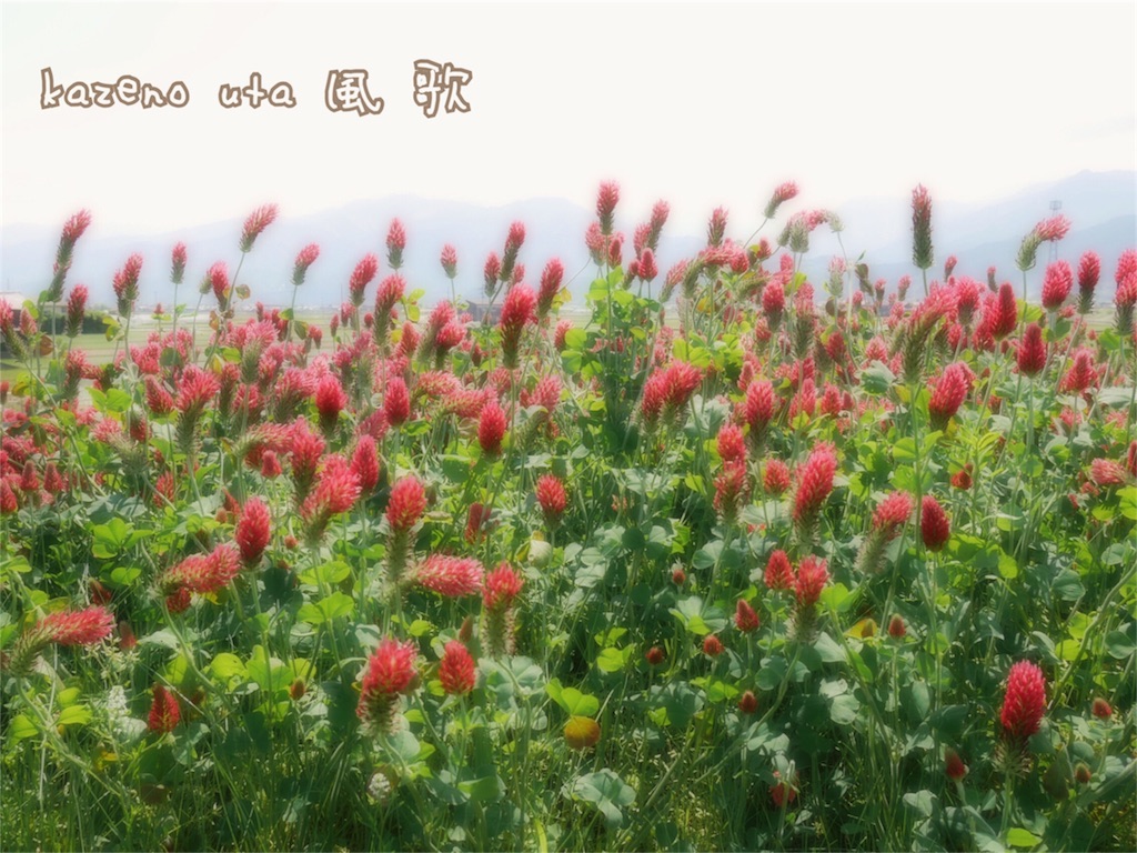 f:id:kazeno-uta:20160512202956j:image