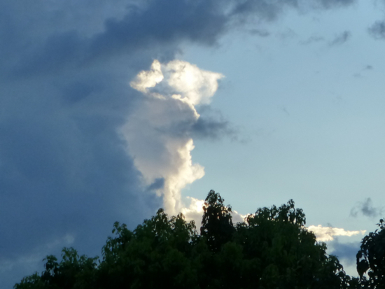 f:id:kazenokomichi:20120820204657j:plain