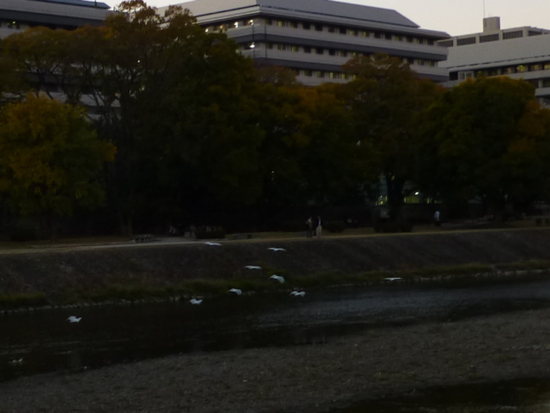 f:id:kazenokomichi:20121116232708j:plain