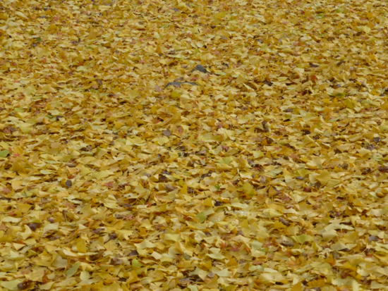 f:id:kazenokomichi:20121208220139j:plain