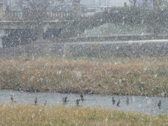 f:id:kazenokomichi:20121210223406j:plain