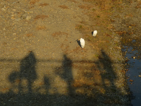 f:id:kazenokomichi:20121216220957j:plain