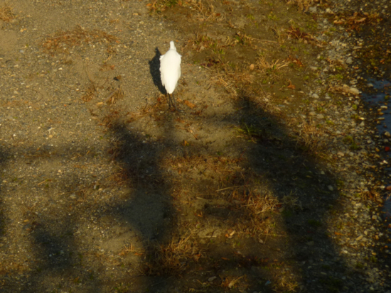 f:id:kazenokomichi:20121216221026j:plain