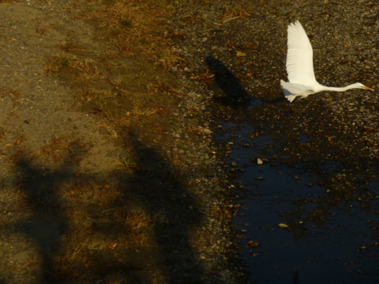 f:id:kazenokomichi:20121216221041j:plain