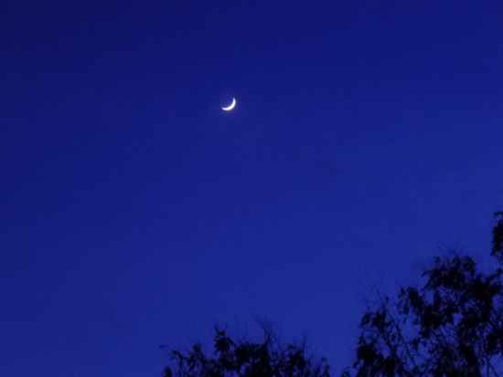 f:id:kazenokomichi:20121216221140j:plain