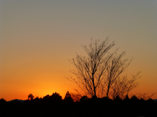 f:id:kazenokomichi:20121228005346j:plain