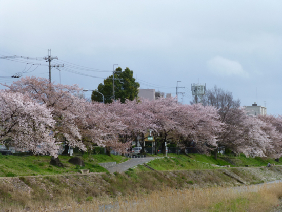 f:id:kazenokomichi:20130407222203j:plain